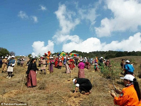Bhutan: Chúc Phúc Cát tường cho Hoàng tử hạ sinh bằng cách trồng 108.000 cây xanh