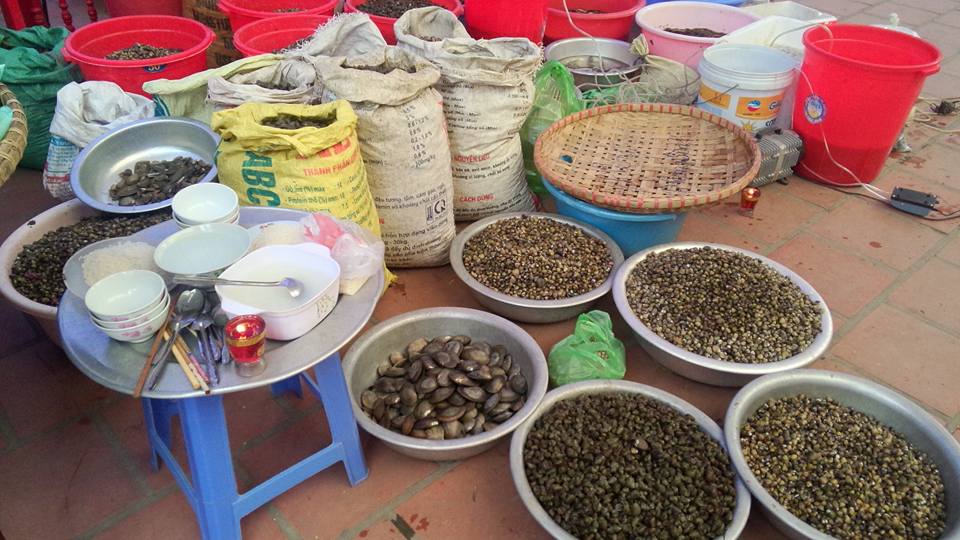 Thanh Hóa: Lễ Hoàn kinh, tạ Pháp Dược sư tại chùa Thanh Hà