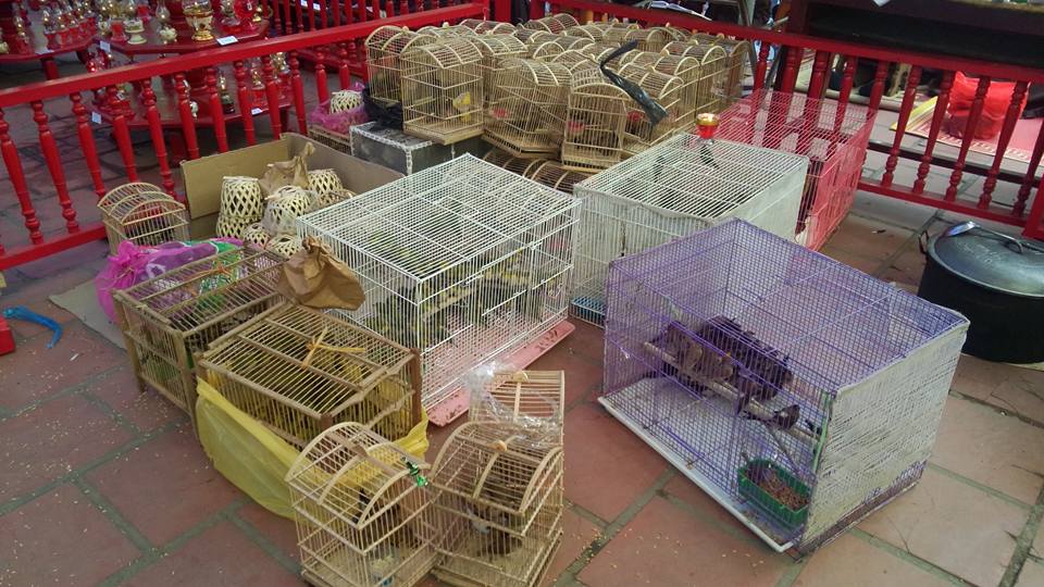 Thanh Hóa: Lễ Hoàn kinh, tạ Pháp Dược sư tại chùa Thanh Hà