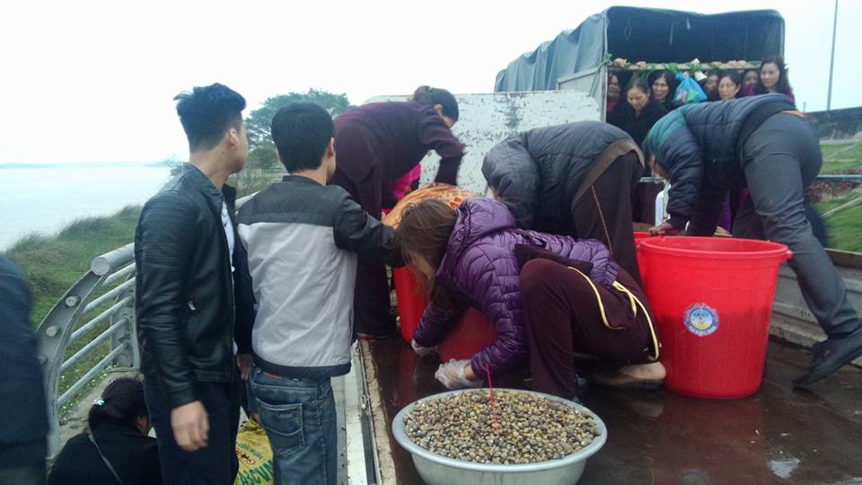 Thanh Hóa: Lễ Hoàn kinh, tạ Pháp Dược sư tại chùa Thanh Hà