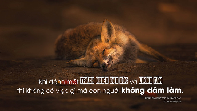 Đồng Tháp: Bàn giao hai nhà mái ấm tình thương