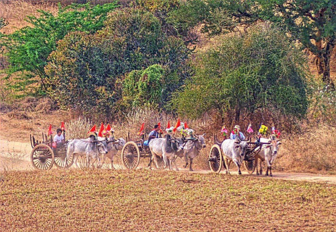 Myanmar: Chùm ảnh Ngôi Già lam Cổ tự Dhammayangyi, Bagan