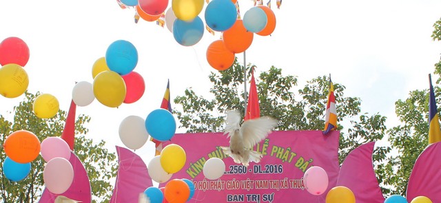 BTSPG Thị xã Dĩ An Chào mừng Đại lễ Phật đản 2560 - DL: 2016