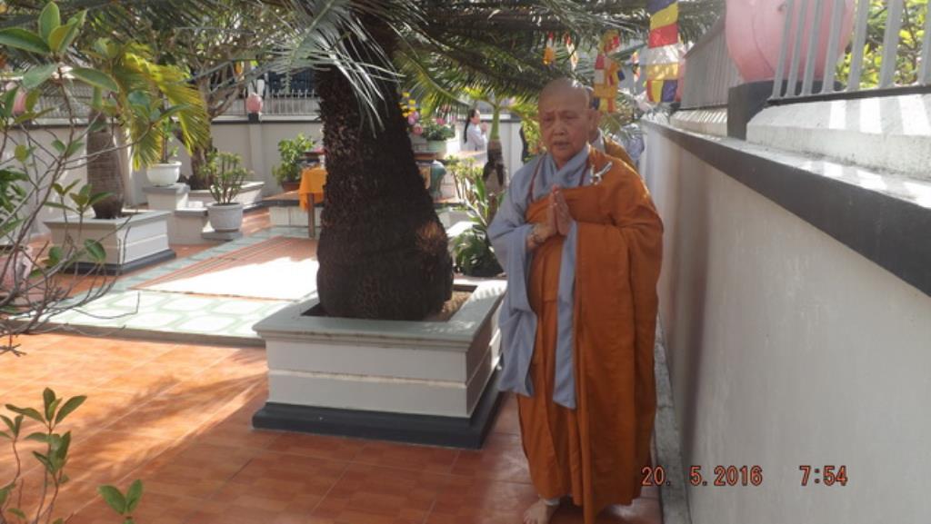 Thị xã Ninh Hòa trang nghiêm tổ chức Đại lễ Phật đản PL.2560