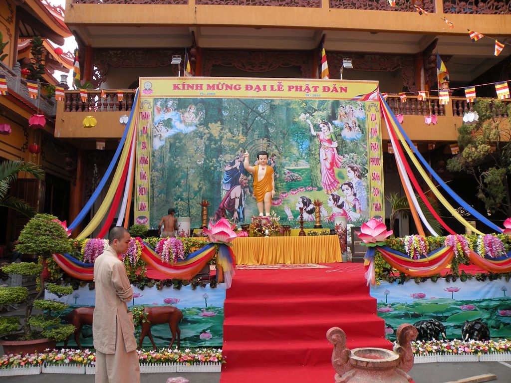 Mùa sen nở