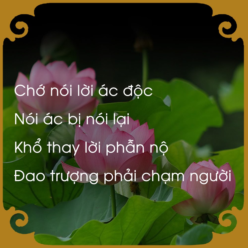 Bị đổ nghiệp
