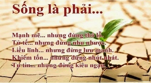 &quot;Có Đức mặc sức mà ăn&quot;