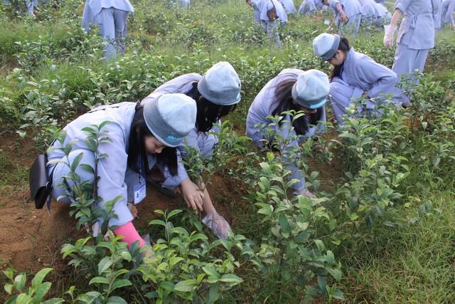Tp.hcm - Lâm Đồng : Phóng Sự Ảnh - Gieo Hạt Từ Tâm Kì 54 : Tết Đoàn Viên -  30 - 31/12/2016 &amp; 01/01/2017 - Chương trình dã ngoại tại Tu viện Bát Nhã - Bảo Lộc - Đơn Dương - TP. Đà Lạt