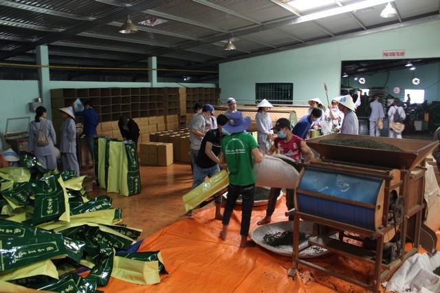 Tp.hcm - Lâm Đồng : Phóng Sự Ảnh - Gieo Hạt Từ Tâm Kì 54 : Tết Đoàn Viên -  30 - 31/12/2016 &amp; 01/01/2017 - Chương trình dã ngoại tại Tu viện Bát Nhã - Bảo Lộc - Đơn Dương - TP. Đà Lạt
