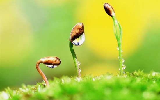 Hỏi đáp: Đời người điều gì là quý nhất?