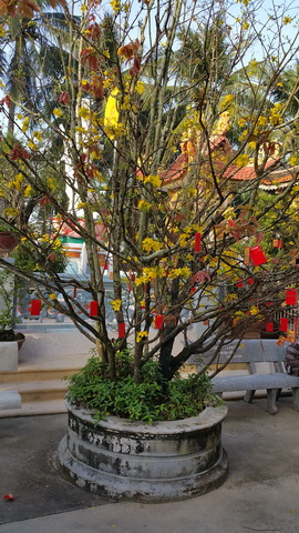 Lễ chùa đầu năm