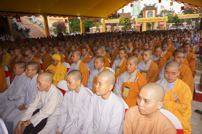 Tâm Sự Với Những Giới Tử Trẻ