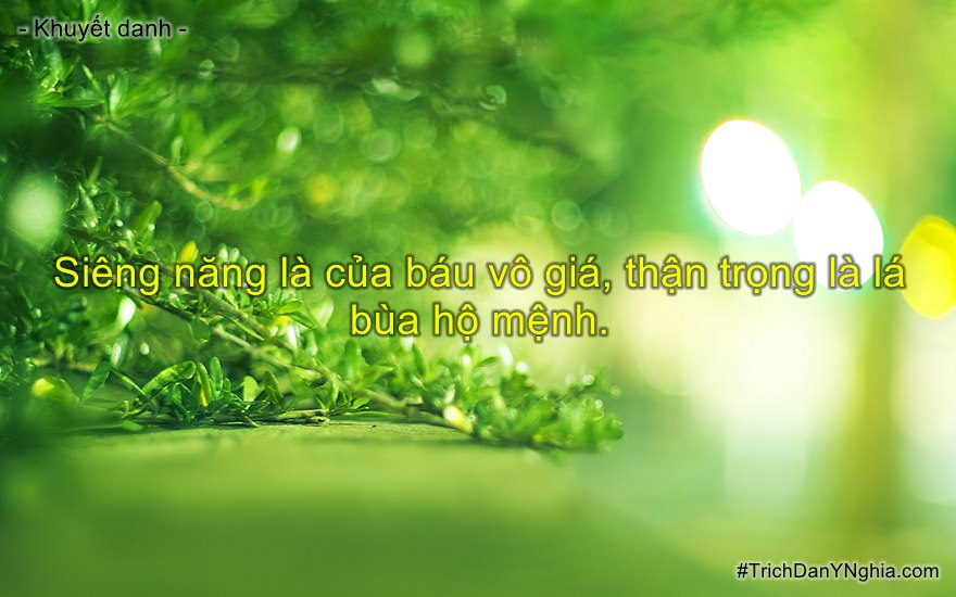 Tờ giấy học đường phấn đấu cả cuộc đời