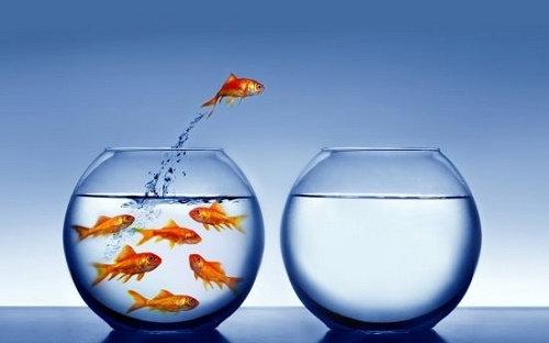 Nghiệp và Số Mệnh Đồng Hay Khác?