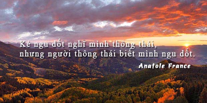 Kẻ Ngu Lấy Khổ Đau Người Khác Để Làm Hạnh Phúc Chính Mình