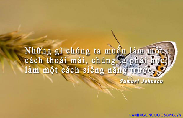 Tờ giấy học đường phấn đấu cả cuộc đời