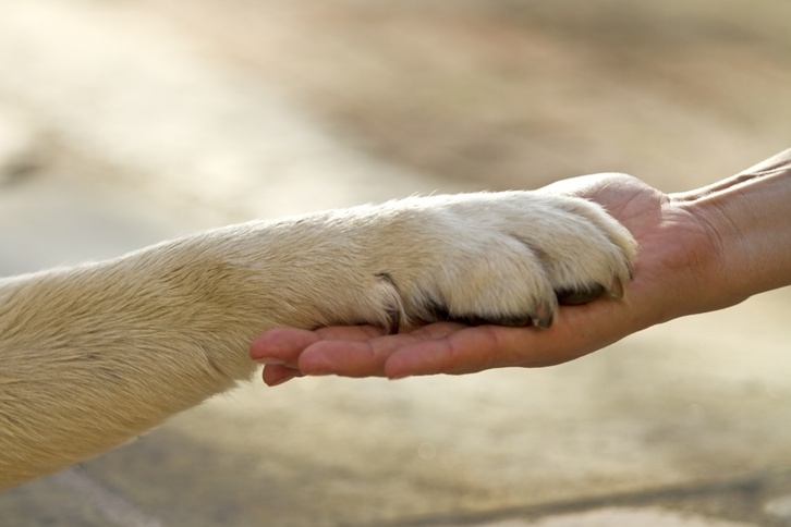 Nghiệp Buộc Ta Phải Đi Trở Lại Để Trả Giá Cho Những Gì Mình Gây Tạo