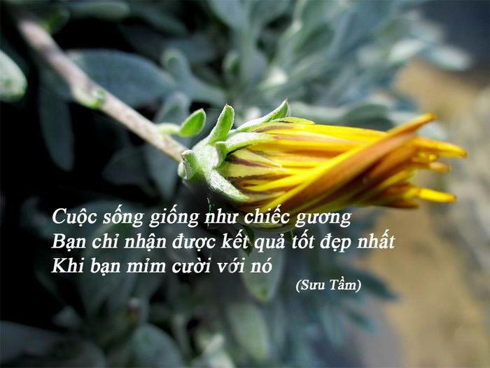 Đâm Sau Lưng Chiến Sĩ