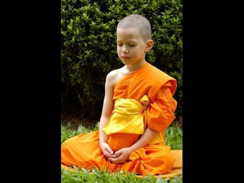 Tập Đế Là Nguyên Nhân Dẫn Đến Các Khổ Đau