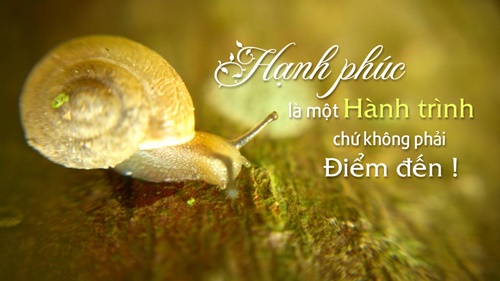 Tiền Không Phải Là Yếu Tố Chính Của Hạnh Phúc.