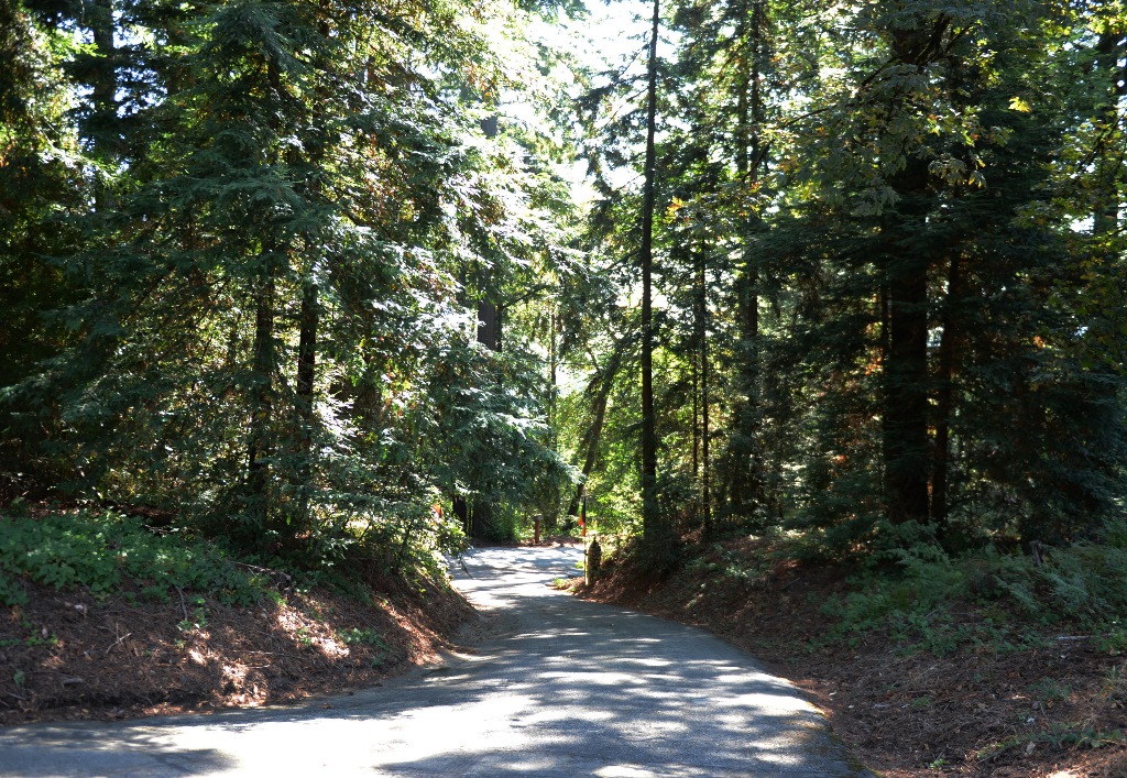 Đức Viên Tịnh Uyển, California (Hoa Kỳ) Tổ Chức Khóa Tịnh Tu Năm 2017 .