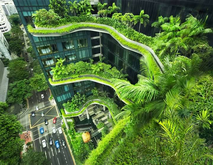 Quả Báo Của Việc Phá Rừng