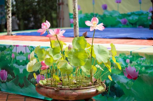 Thái nguyên: chùa Huống Thượng, Khai mạc khóa tu “ Tâm khai trí sáng lần thứ II ”.