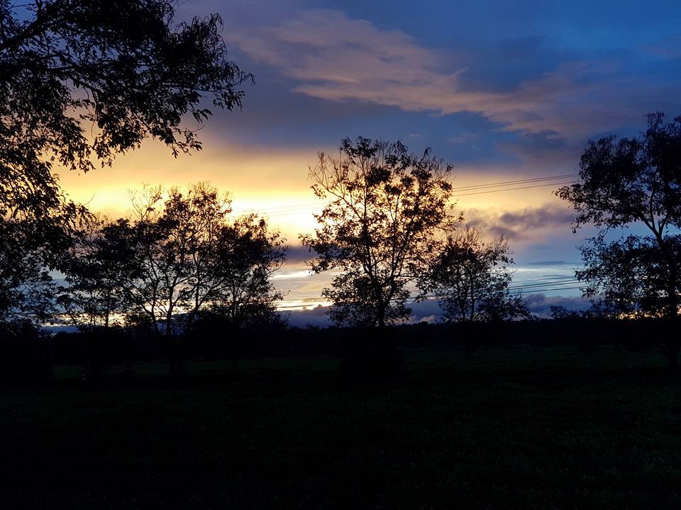 Mai này