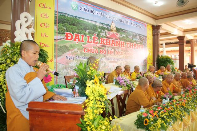 Bình Dương: Niềm vui ngày Đại lễ khánh thành