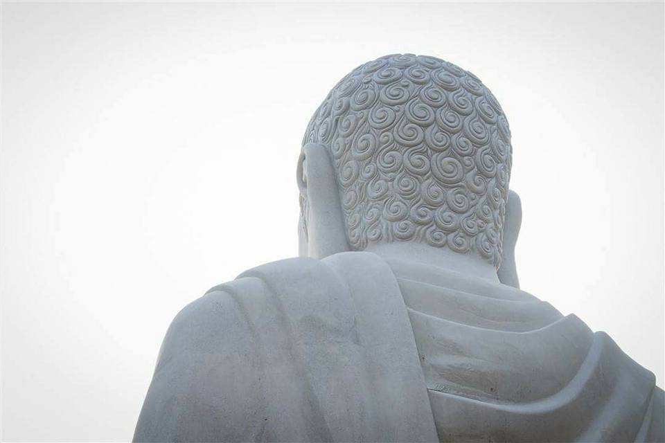 Con ngắm Phật