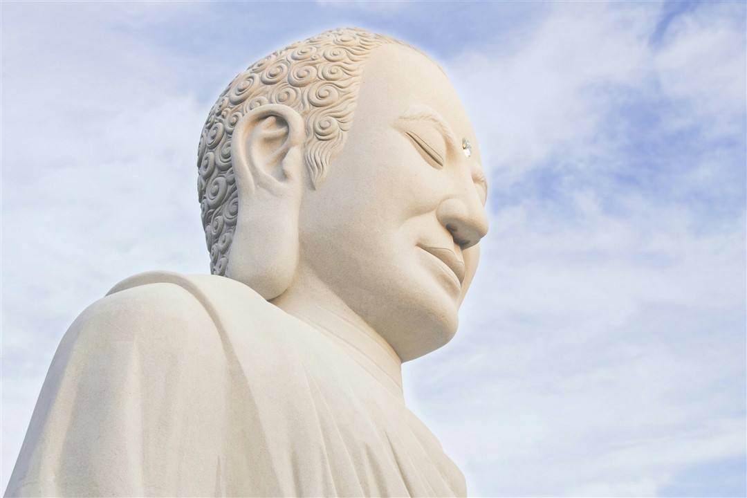 Con ngắm Phật
