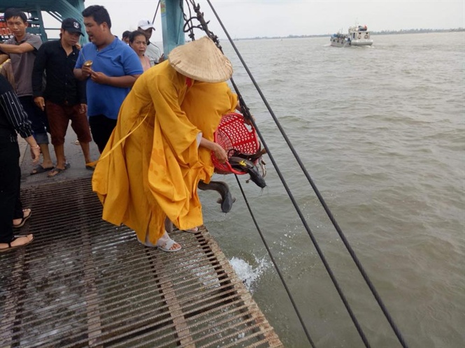 Phóng sinh hằng trăm kg rắn, rùa, trăn và chim, cò về tự nhiên