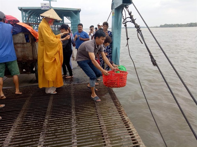 Phóng sinh hằng trăm kg rắn, rùa, trăn và chim, cò về tự nhiên