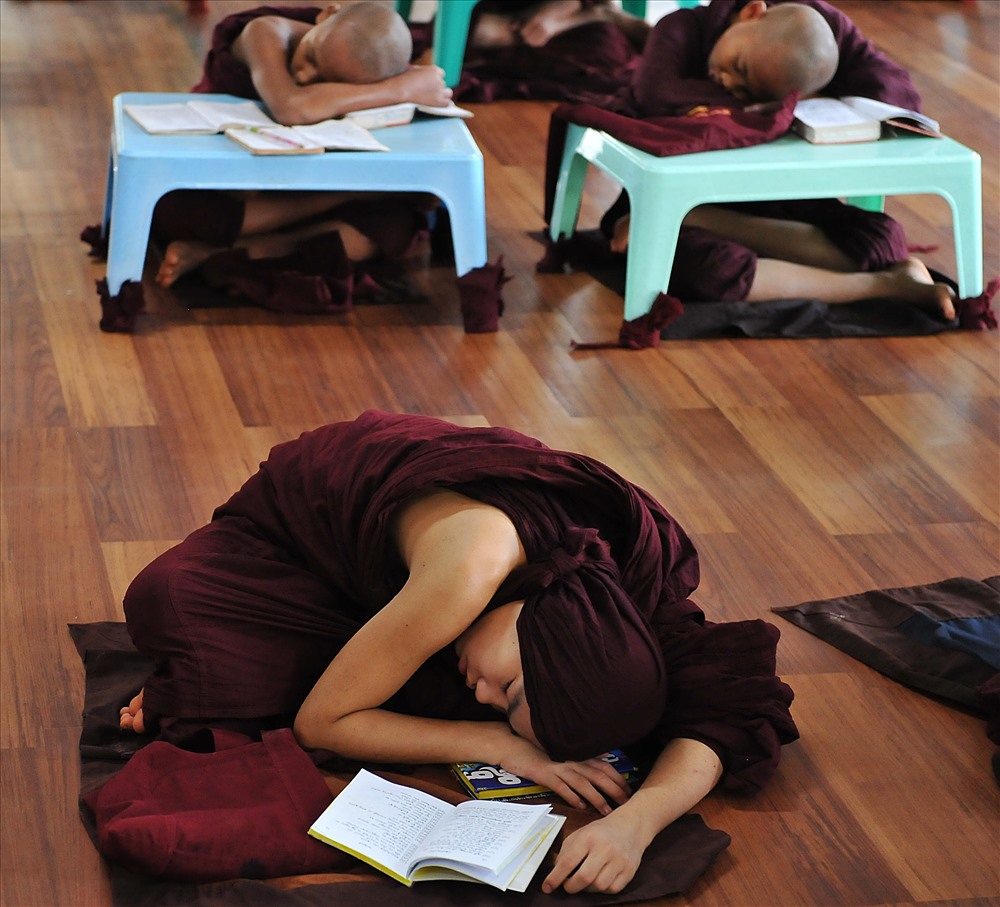 Một sáng ở thiền viện Maha Vihara Forest