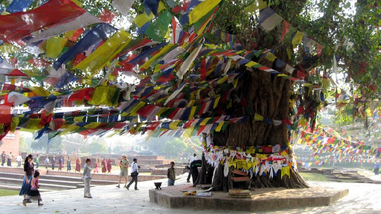 Đến để thấy,thấy để tin: Lâm Tỳ Ni nơi Phật Đản Sinh