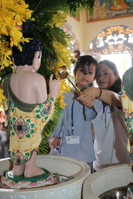 TP.Hồ Chí Minh: Phóng sự: Gieo Hạt Từ Tâm - Kì 75. Chủ đề: Sắc mầu Phật Đản