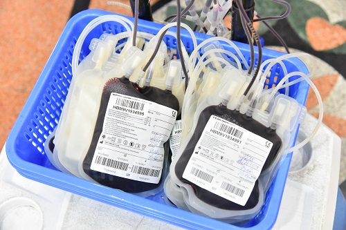 Chùa Giác Ngộ: 590 người tham gia Hiến máu nhân đạo