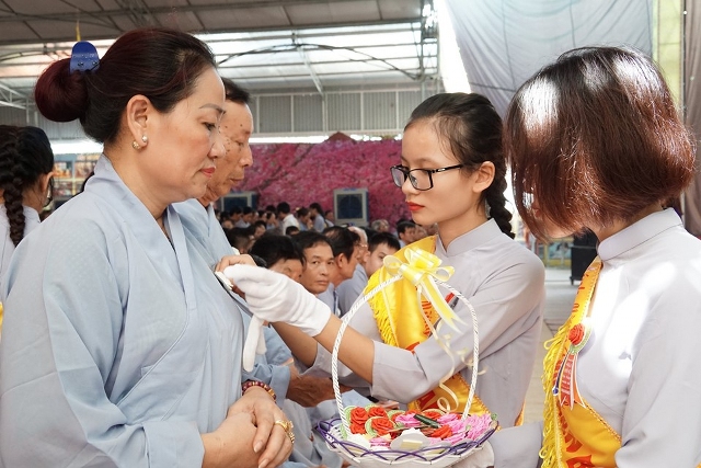 Thái Bình: Lễ hội bông hồng cài áo tại chùa Từ Xuyên