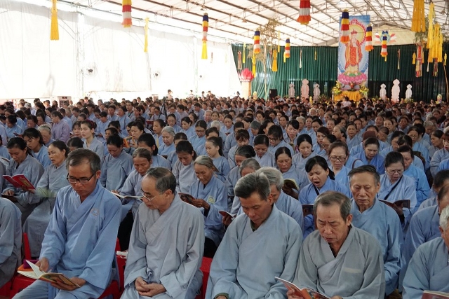 Thái Bình: Lễ hội bông hồng cài áo tại chùa Từ Xuyên