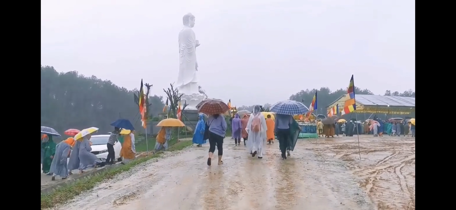 Bậc Đại Trí- Đầy Dung Dị