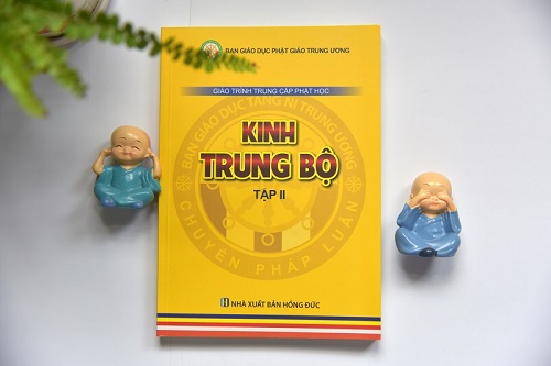 Ấn Tống Sách Giáo Khoa Cho 33 Trường Trung Cấp Phật Học – Gđ4 (C84-4)