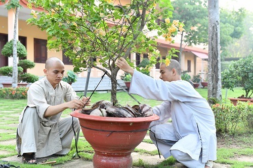 Tổng Kết Chương Trình  Cúng Dường “Quỹ Đời Sống Tăng Ni” Kỳ 8 (C106-8)