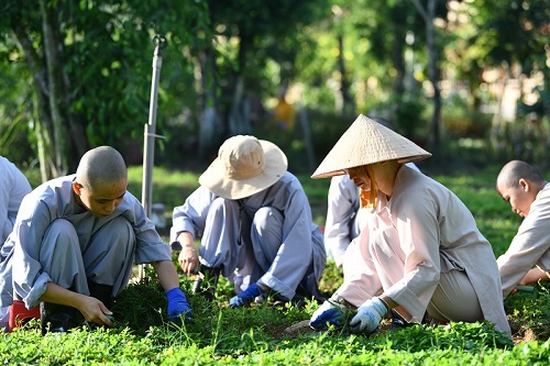 Tổng Kết Chương Trình  Cúng Dường “Quỹ Đời Sống Tăng Ni” Kỳ 8 (C106-8)