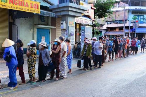 Hạt Gạo Thời Dịch Covid-19 Và Những Câu Chuyện