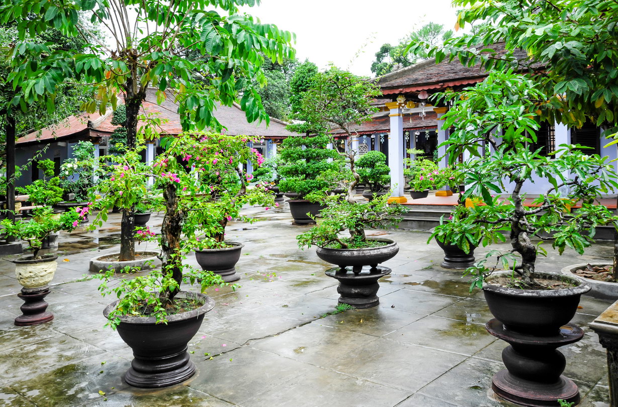 Sắc tứ tây thiên di đà tự, huế với tăng cang hòa thượng thanh ninh tâm tịnh