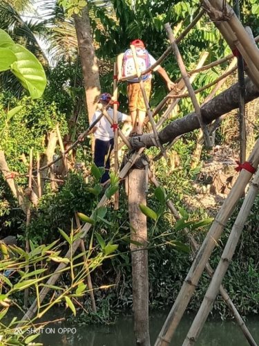 Cập Nhật Thông Tin Chương Trình “Nhịp Cầu Yêu Thương 2020” (C248)