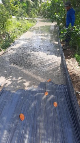 Cập Nhật Thông Tin Chương Trình “Nhịp Cầu Yêu Thương 2020” (C248)