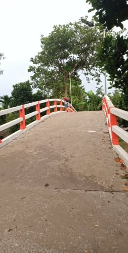 Cập Nhật Thông Tin Chương Trình “Nhịp Cầu Yêu Thương 2020” (C248)