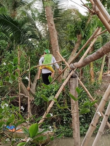 Cập Nhật Thông Tin Chương Trình “Nhịp Cầu Yêu Thương 2020” (C248)