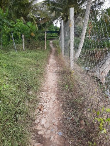 Cập Nhật Thông Tin Chương Trình “Nhịp Cầu Yêu Thương 2020” (C248)
